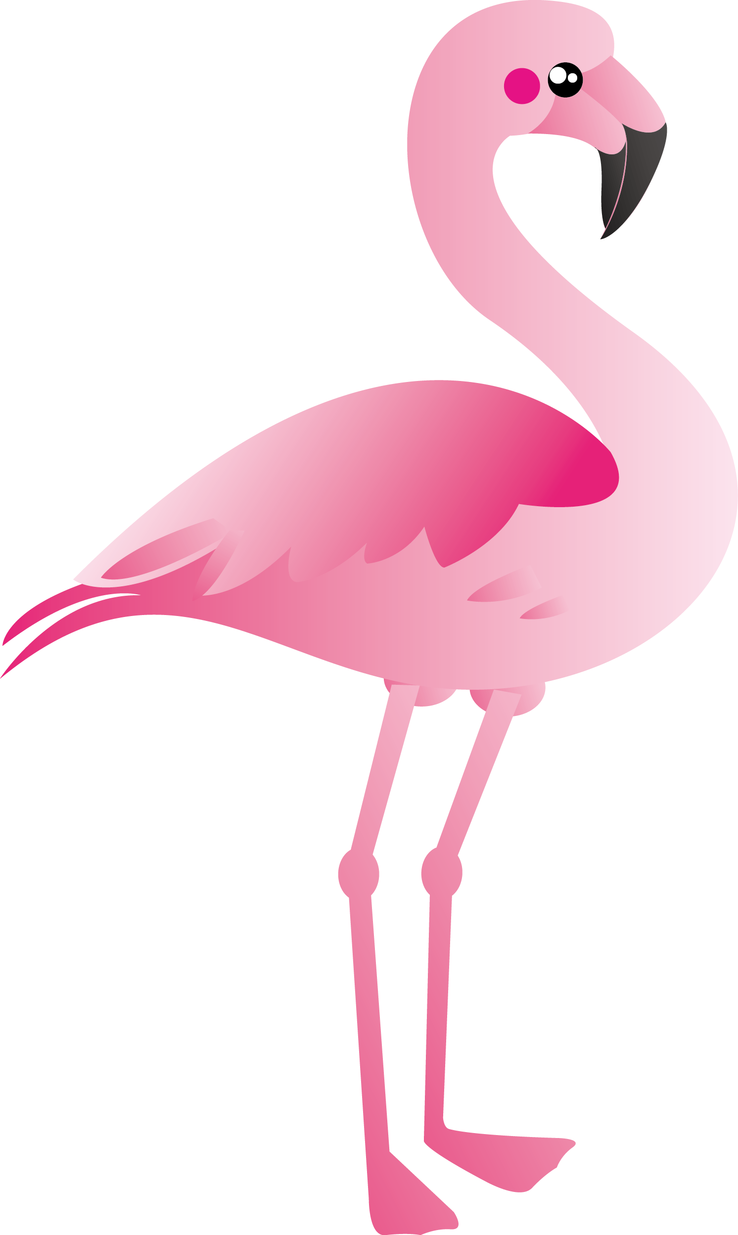 Pink Flamingo Clip Art - Flamingo Clip Art Png (1492x2496)