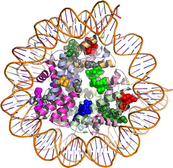 The Hotspot3d Computational Tool Models How Gene Mutations - 3d Protein Structure (600x558)
