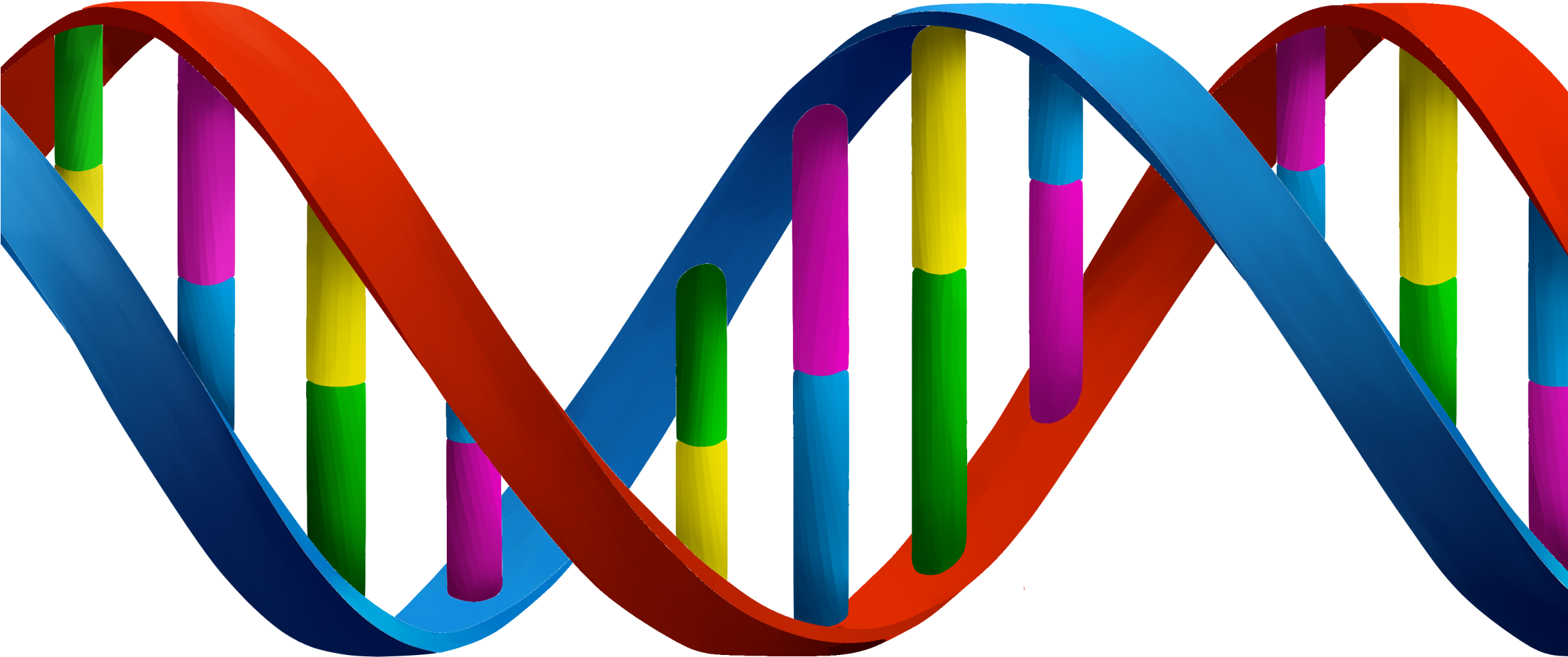 Thyroid Cancer Molecular Markers In A Blood Sample - Nucleic Acids Clipart (2340x1320)
