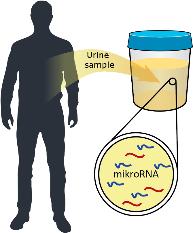 The Project Is Supported Financially By Innovation - Illustration (690x851)