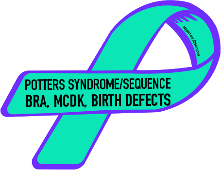 Potters Syndrome/sequence / Bra, Mcdk, Birth Defects - Emotional Abuse Awareness Ribbon (455x350)
