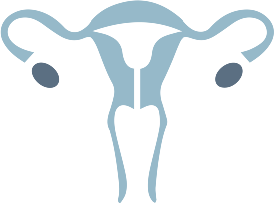 Ovarian Cancer - Ovarian Cancer (1000x750)