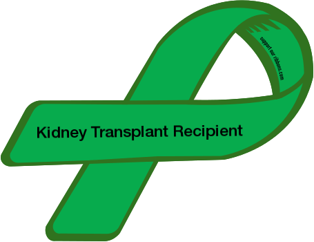 Kidney Transplant - Kidney Cancer Ribbon Color (455x350)