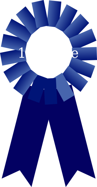 Blue Medal (312x599)