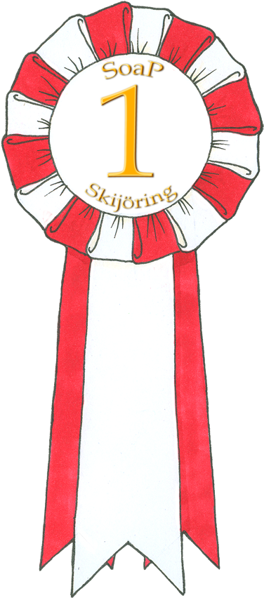 1st Place Ribbon For Soranoko By Nileiris - Ribbon (419x900)