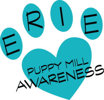 Statement Clipart Awareness - Mission Statement (355x341)