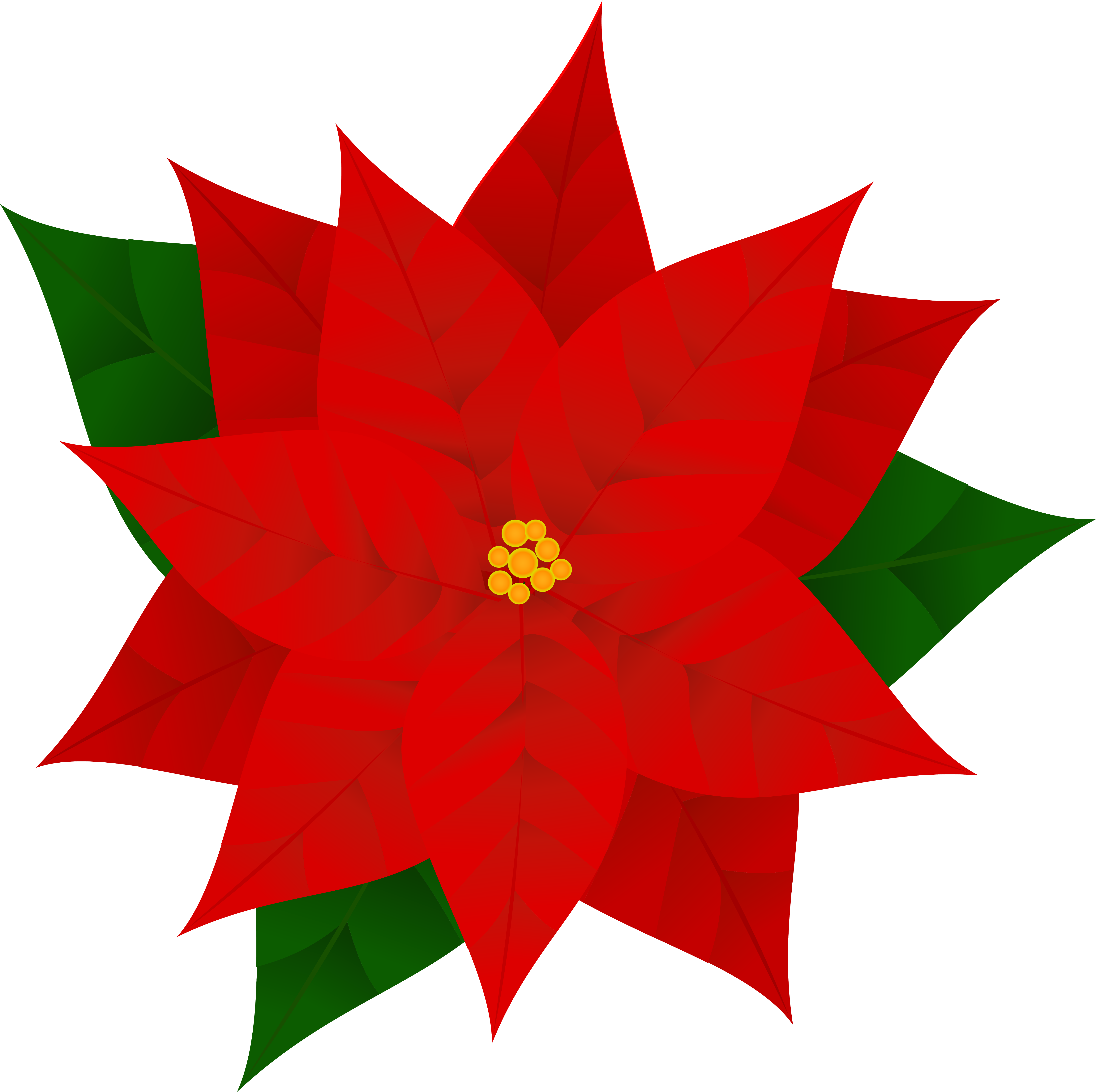 Amazing Ideas Poinsettia Clipart Free Poinsettias Cliparts - Poinsettia Clipart (6032x6019)