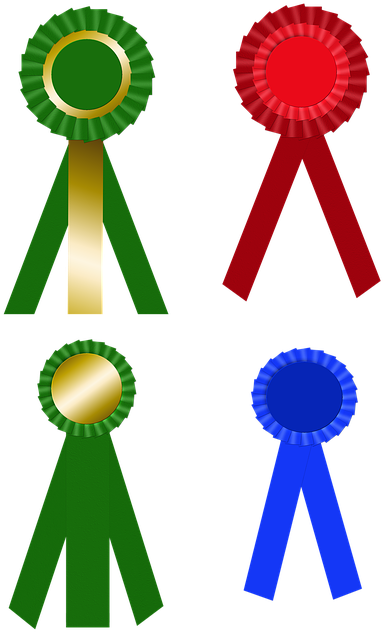 Award, Ribbon, Medal, Success, Competition, Winner - ป้าย รางวัล ที่ 1 (480x720)