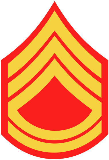 Congratulations On Your Promotion Today, I Hope The - Marine Corps Master Sergeant (380x556)