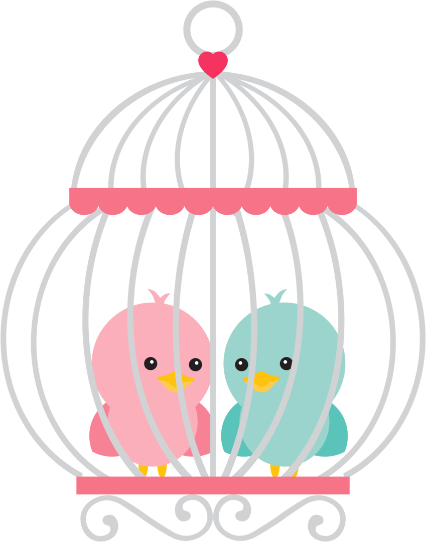 Aves & Passáros & Corujas Etc - Gaiola Png Jardim Encantado (849x1080)