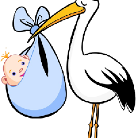Related Cliparts - Stork Clipart (640x480)