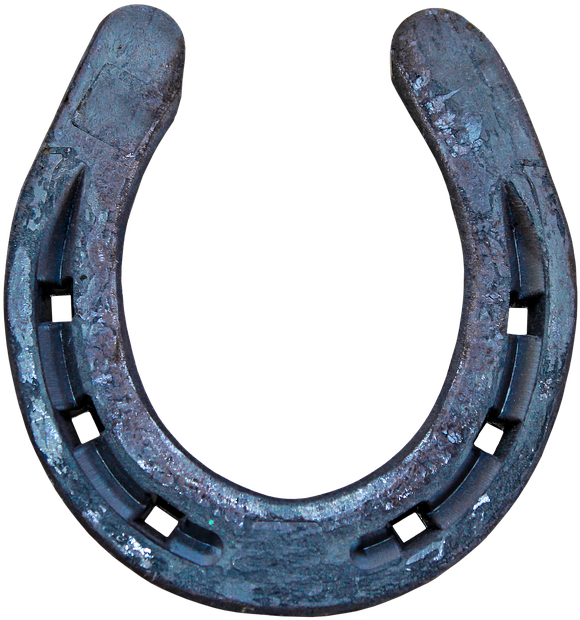Pictures Of A Horseshoe - Transparent Horseshoe (726x720)