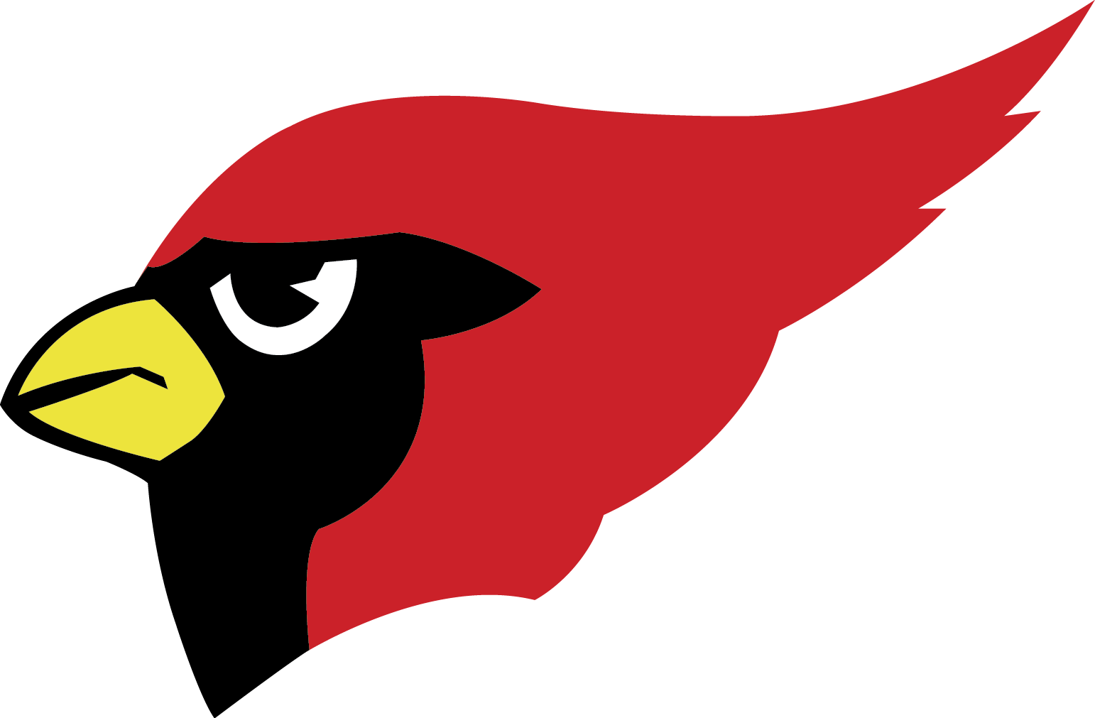 Hcisd Graduation Dvd Sales - Harlingen South Hawks Logo (1542x1011)