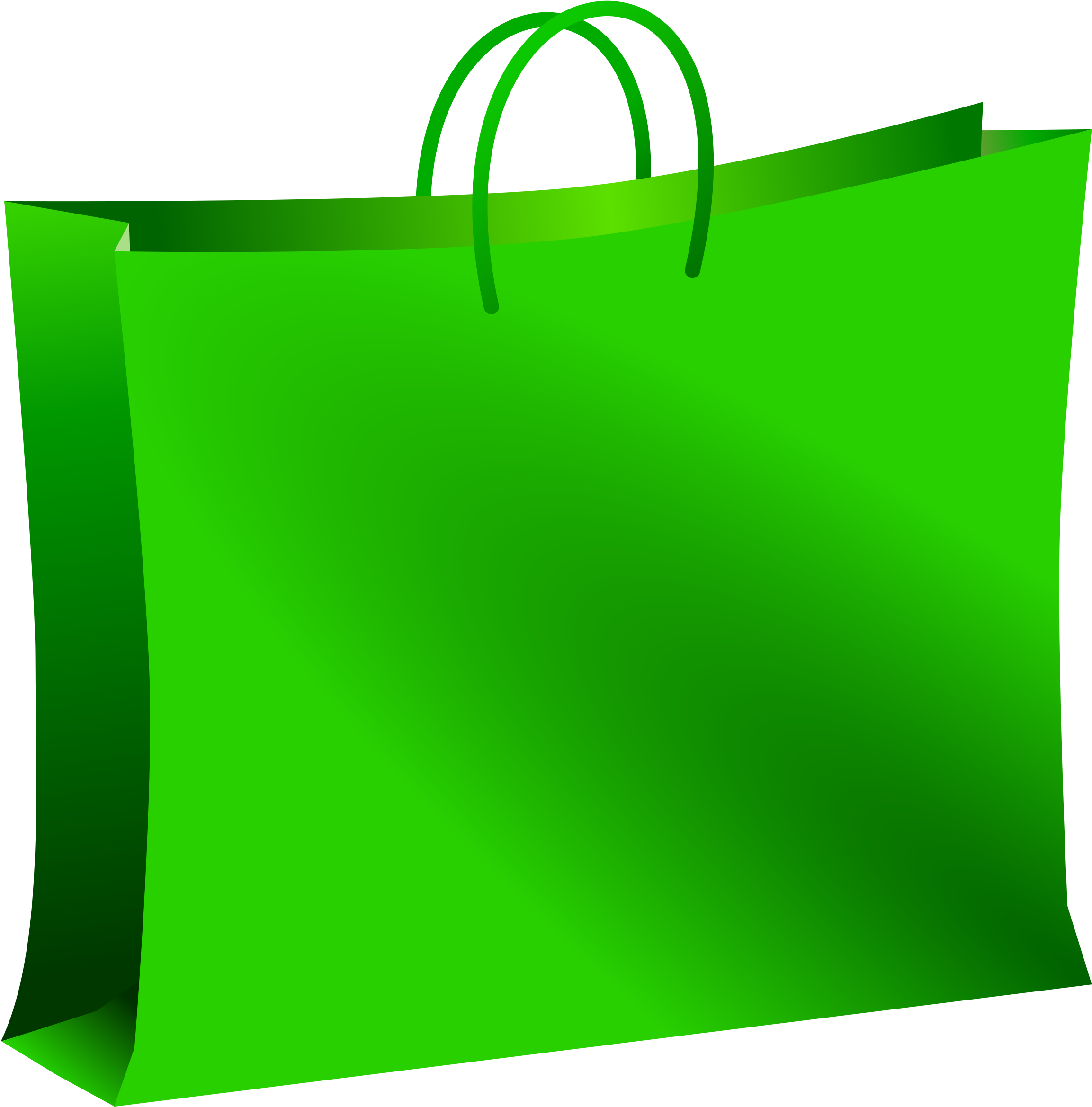Image Green Tick Frees That You Can Download To Clipart - Green Bag Clip Art (2368x2400)