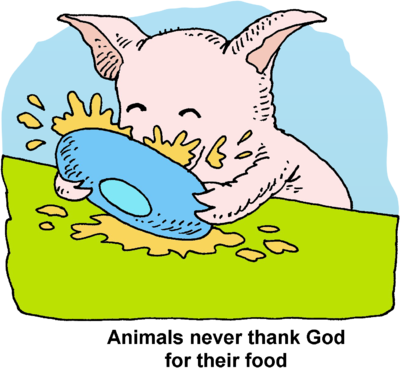Pig Eating Food - Pig Eating Food (400x368)