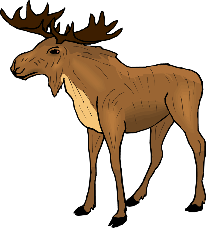 Moose Clipart R5dcjy Clipart - Moose Clipart (679x750)