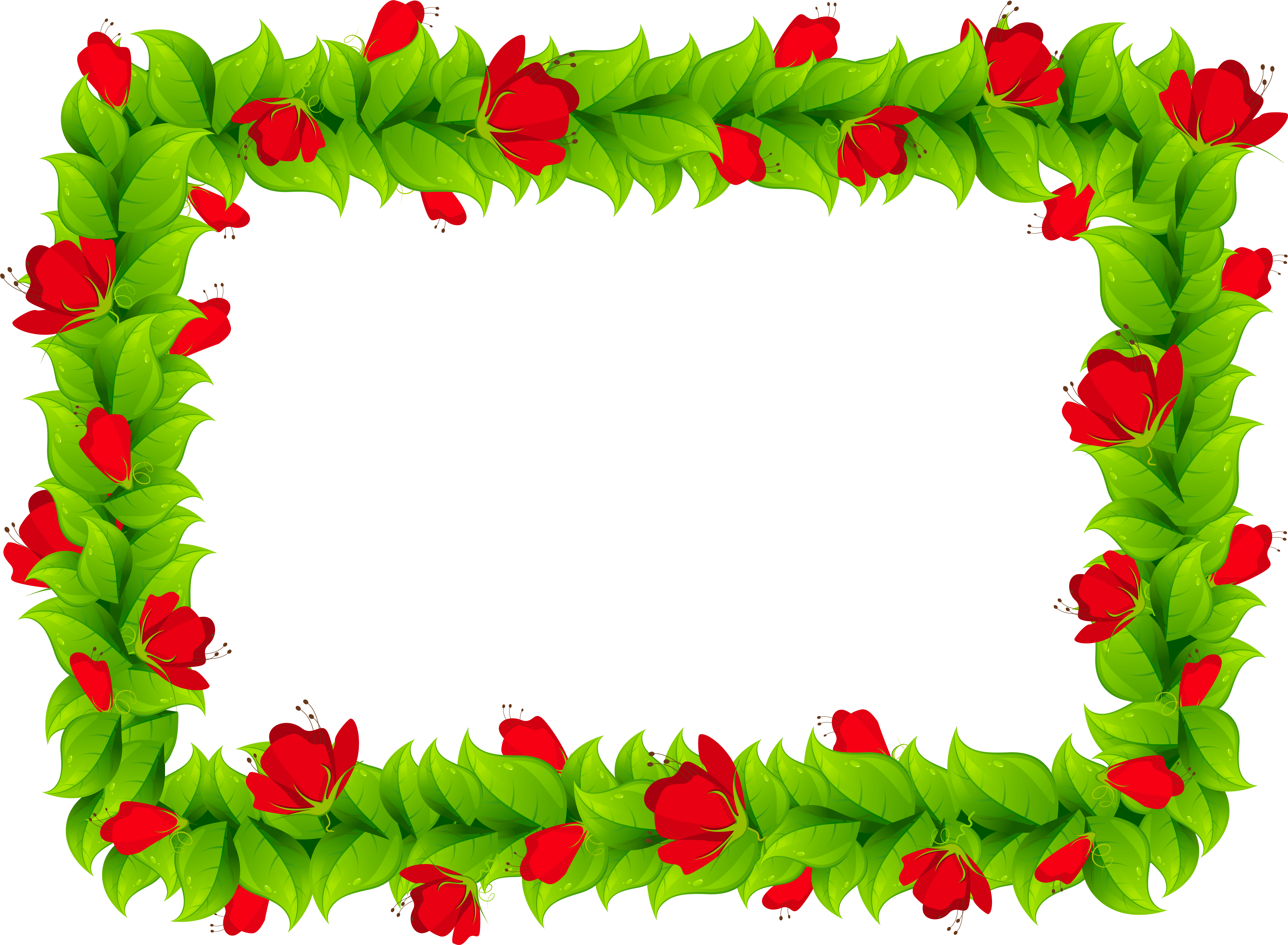 Floral Border Frame Clipart Png Image - Clip Art Colorful Borders And Frames Png (6307x4628)