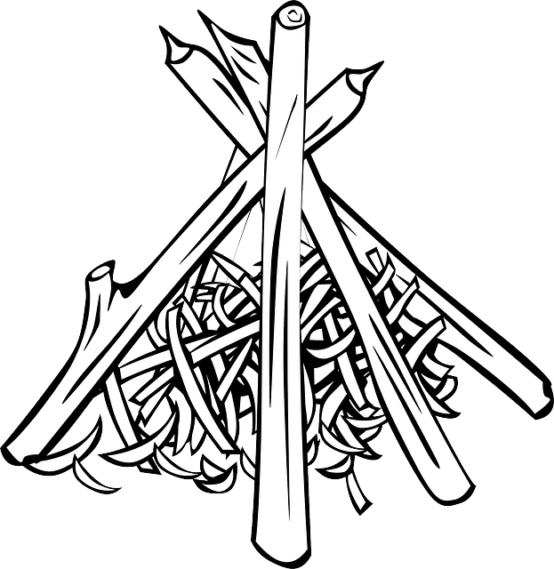 Cranes Outline, Wood, Cooking, Pile, Campfires, Cranes - Teepee Fire (623x640)