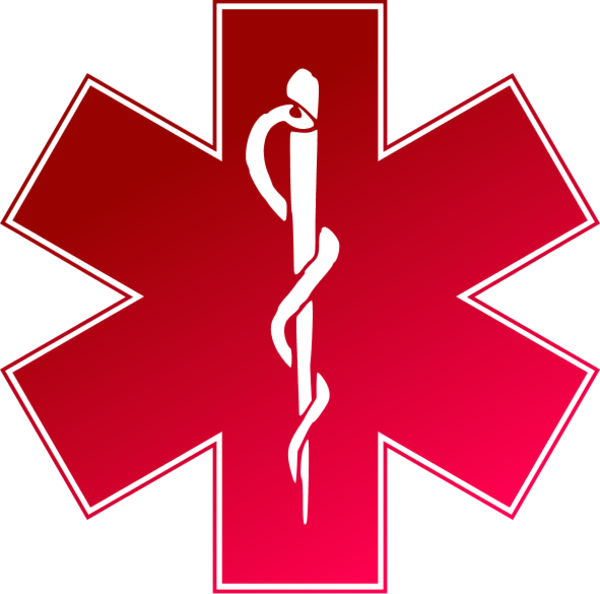 Emergency Logo Clip Art - Emergency Medical Service Logo (600x594)