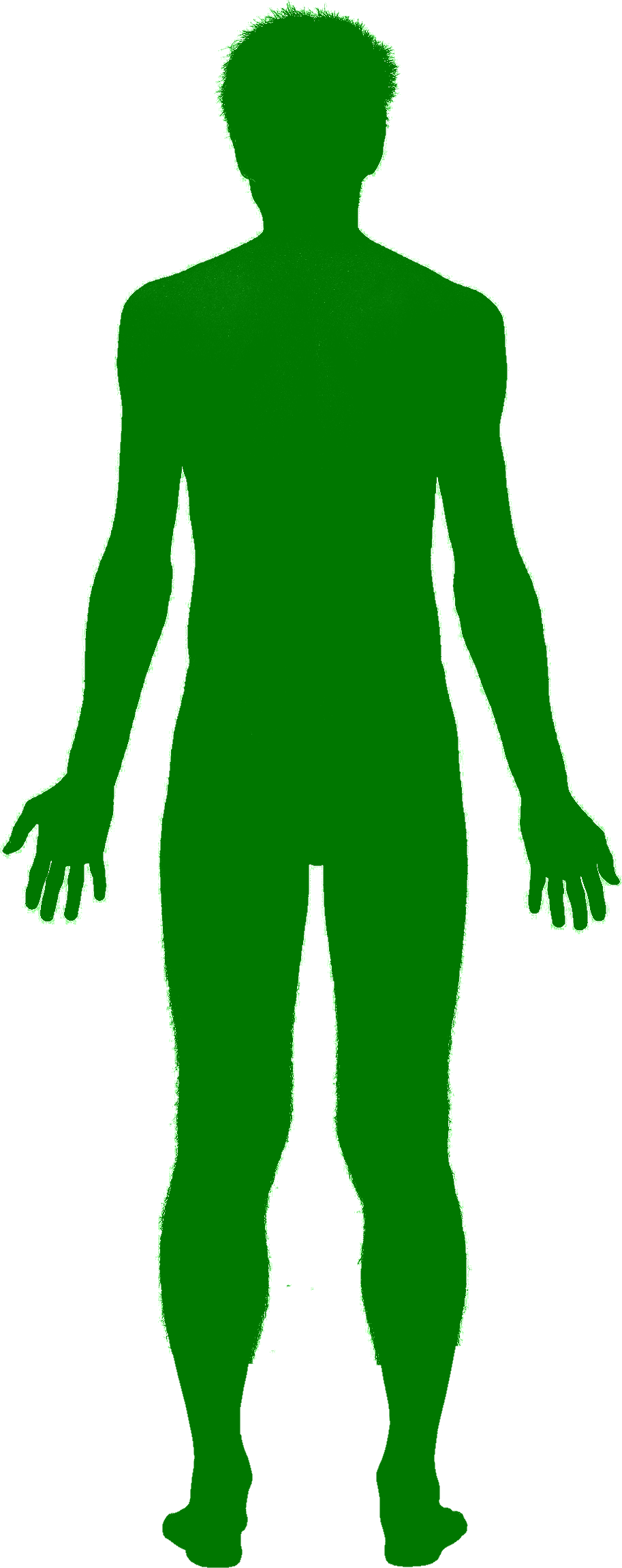 Human Shadow Clipart Png - Green Silhouette Png (913x2299)
