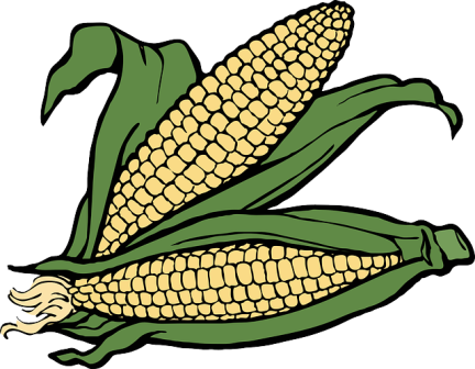 No More Than 2 Ears Per Corn Plant - Uni-corns King Duvet (432x336)