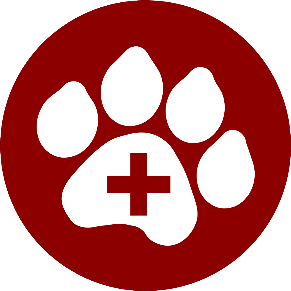 Caring For A Sick Or Injured Pet Involves Many Aspects - Humane Society Of Pasco County (1000x1000)