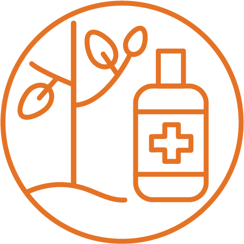 Birch Tree Care Logo -10 - Health Care (617x614)