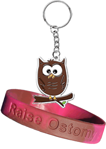 Stomawise Ostomy Awareness Key Ring & Wrist Band Package - Keychain (385x500)