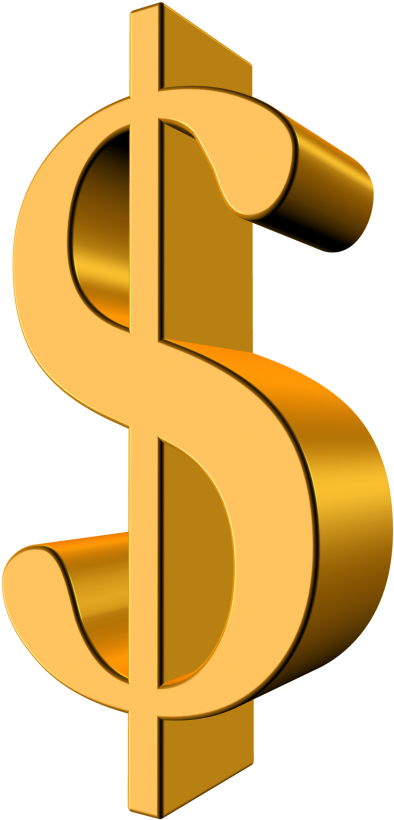 Gold Dollar Png Transparent Image - Dollar Png (500x858)