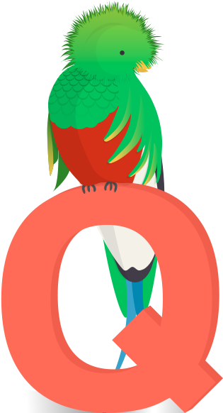 Q For Quetzal - Parakeet (1000x654)