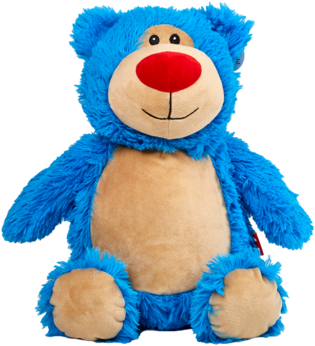 Soft Shoe First Feis Personalized Irish Dance Cubbies - Monogrammed Me Personalised Stuffed Turquoise Bear (386x480)