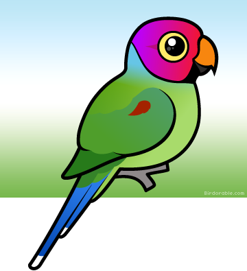 Cartoon Parrot Indian Ringneck (360x395)