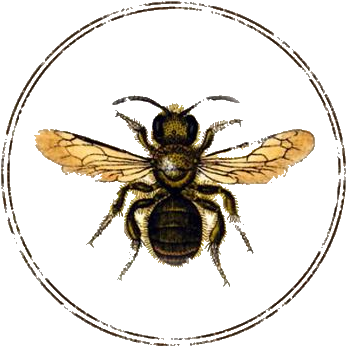 Transparent Bee By Hexx - Vintage Honey Bee Illustration (400x400)