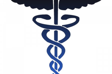 Lpn Symbol Clip Art - Medicare And Medicaid Symbol (450x300)