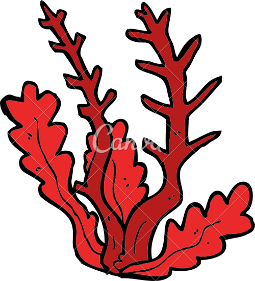 Cartoon Seaweed - Algae (500x550)