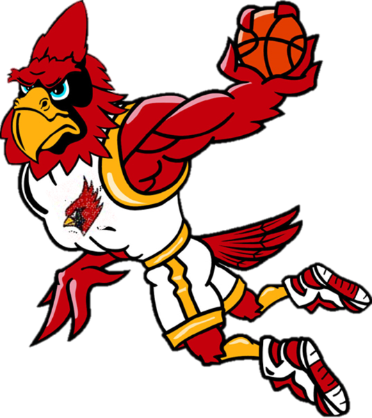 First Round Sub-state Basketball At Plainville Monday - Buzzard Mascot (535x600)