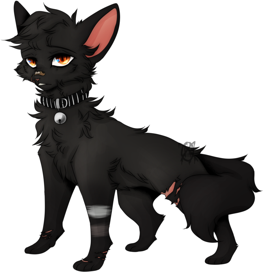 Cp // I Can't Go To Sleep Without An Ambien By Heathenbound - Silver Fox (894x894)