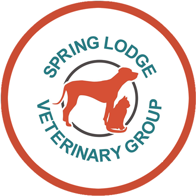 Our Pet Health Plan - Label (400x401)