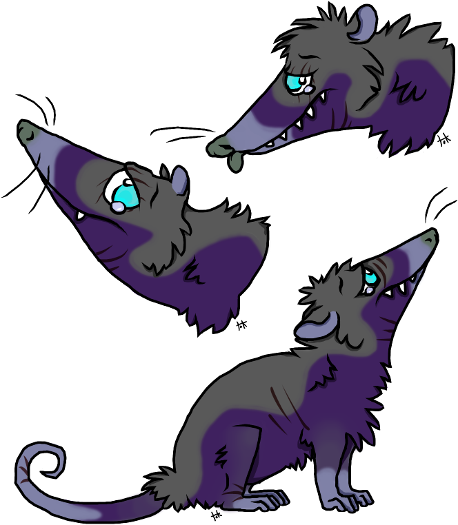 Custom Sad Possum By Darumemay - Cartoon (728x830)