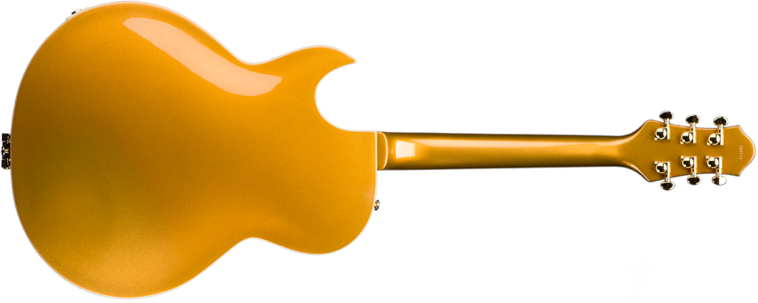 Nys Deluxe Mg - Electric Guitar (1270x450)