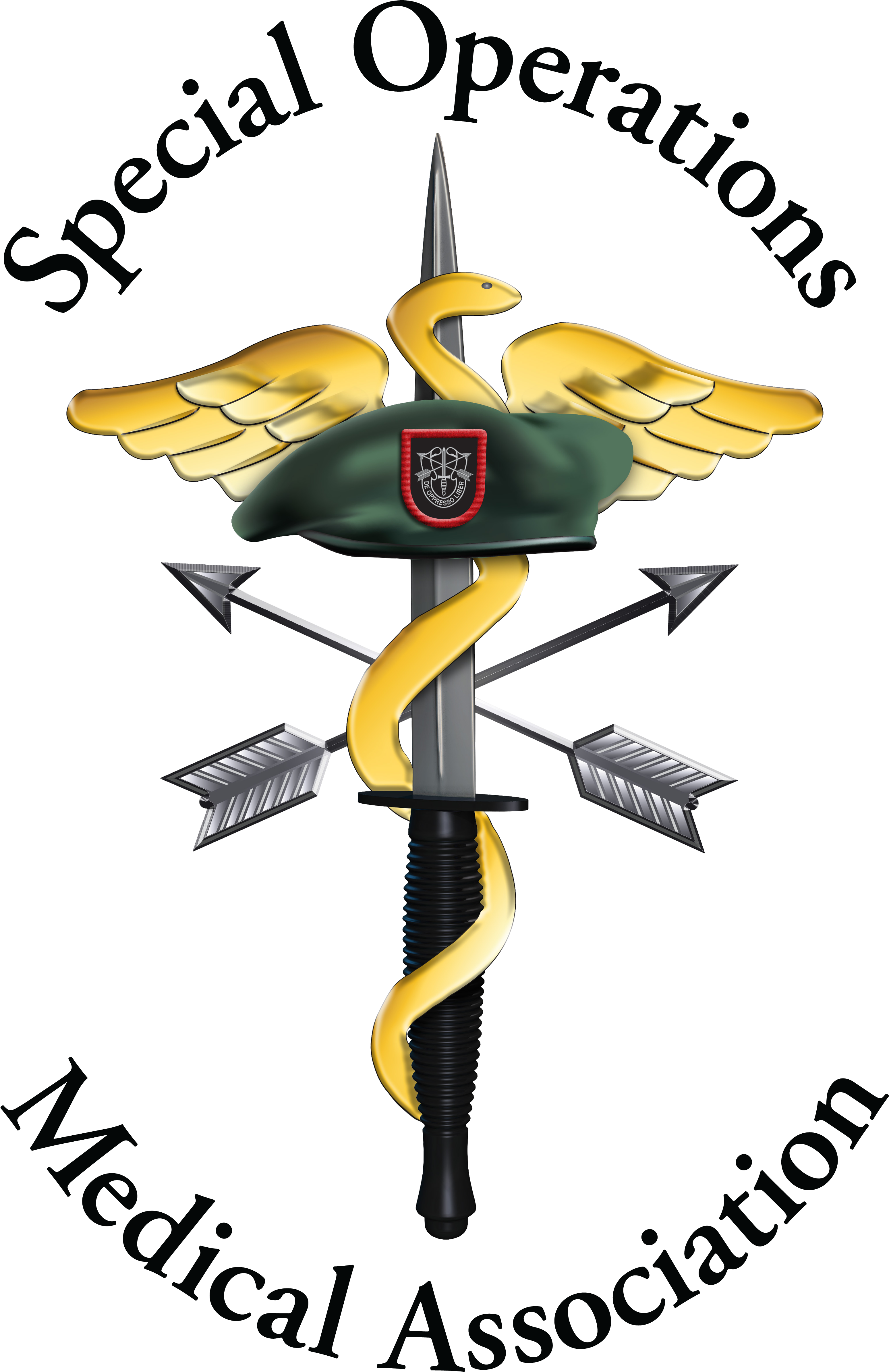 Soma-logo Hr Words Clear - Baylor Medical Center Frisco (3300x4950)