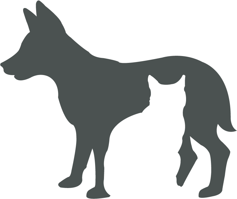 Yzerfontein Veterinary Clinic Vetdirectory - Optical Illusion (833x833)