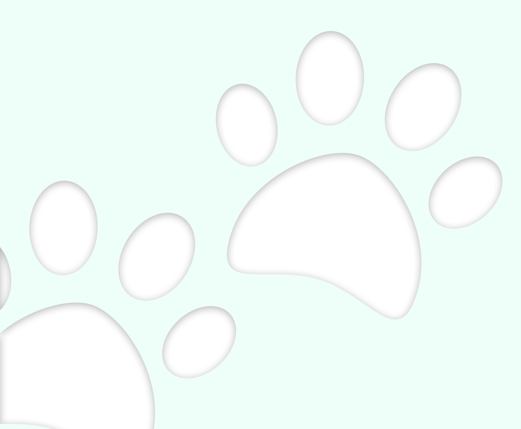 Two Paws - Tiger Footprint (1040x857)