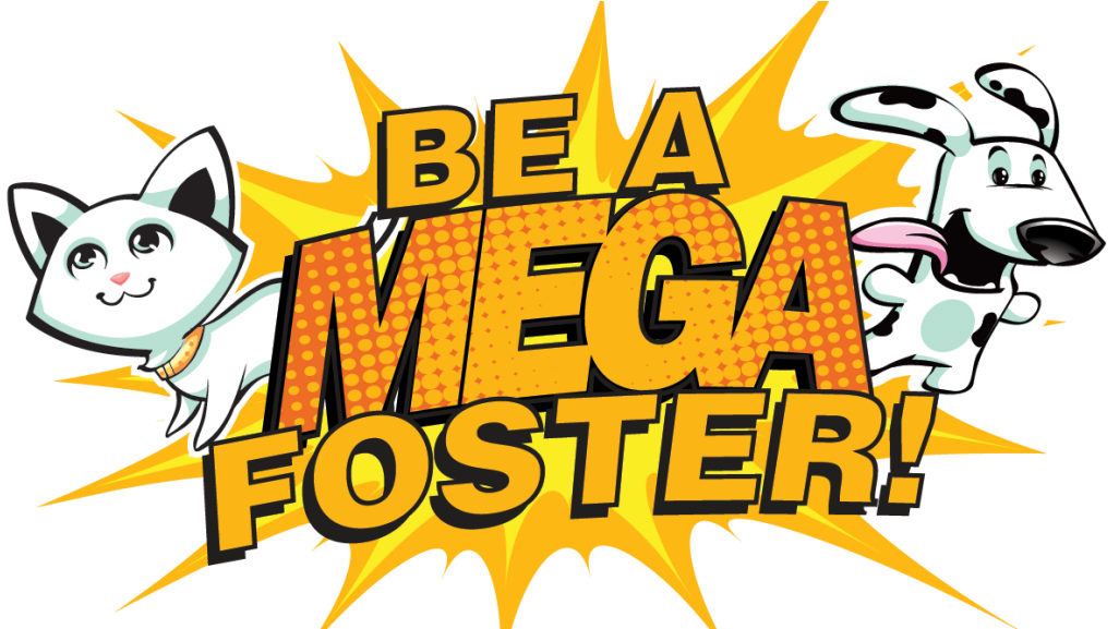 Become A Foster - Adoption (1038x576)