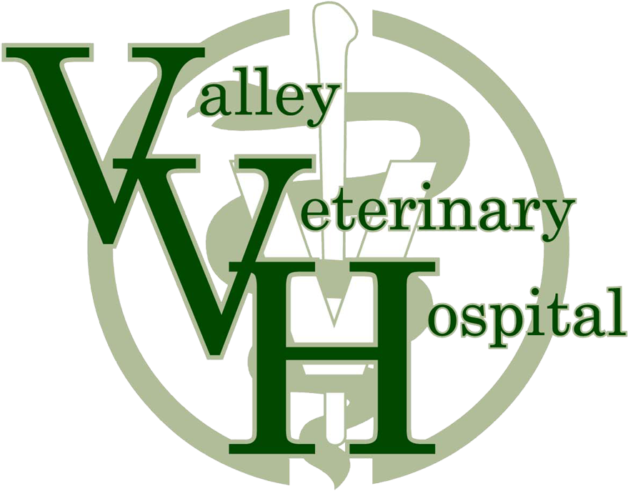 Animal Hospital Valley Veterinary Hosptial - Graphic Design (1000x789)