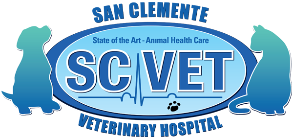 San Clemente Veterinary Hospital - Oval (600x282)