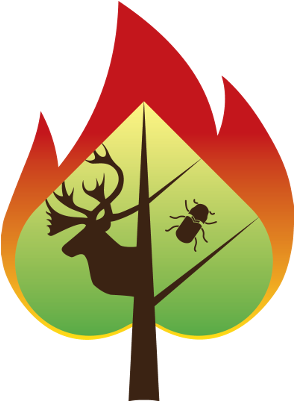 To Lead The Development Of A Mixed Severity Fire Regime - Ecology (420x420)