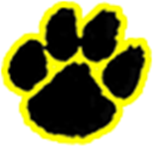 David Jackson - Clemson University Cocktail Paper Napkins 36 Pack (350x350)