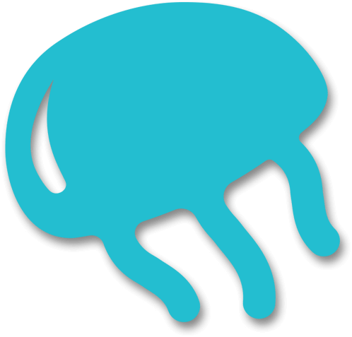 Splash With Us - Illustration (498x477)