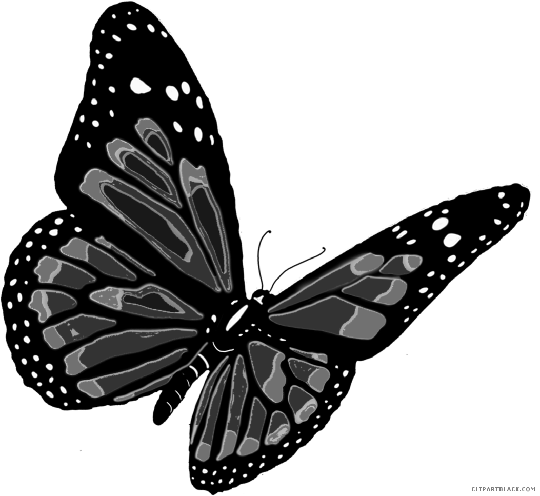 Flying Butterfly Animal Free Black White Clipart Images - Butterfly Orange (1053x967)